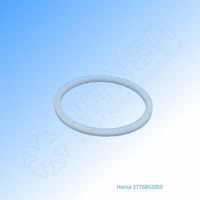 HANSA Dichtring PTFE 25,4 x 22,2 mm DF 2776852050