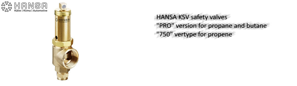 Sicherheitsventil KSV