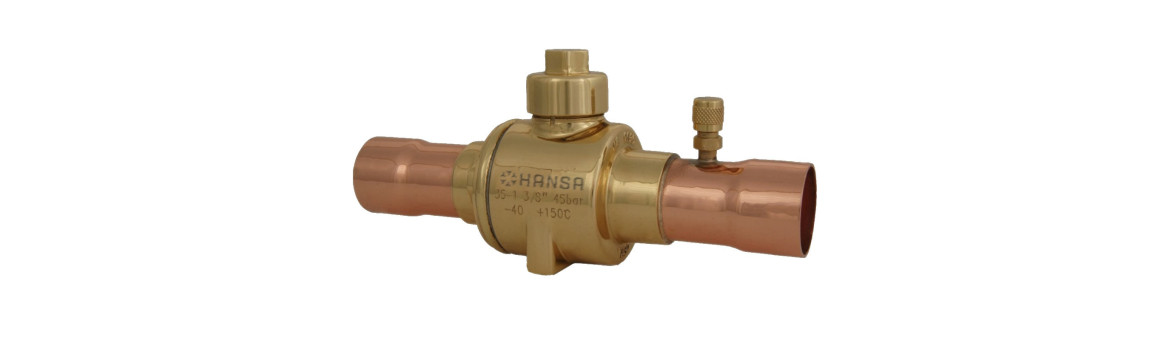 Ball valve with access point